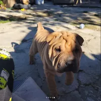 processed/37b89828-7031-43c5-ac3e-79f7b4b52de7/listing/5dee1509-9ec4-4a96-bb61-1c2f7f3be54c/bef95e56-21ea-433f-bb99-7db2a4d6923e