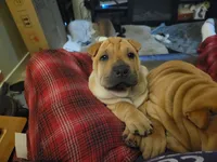 processed/37b89828-7031-43c5-ac3e-79f7b4b52de7/listing/5dee1509-9ec4-4a96-bb61-1c2f7f3be54c/db8e2f98-473c-47ef-9c9c-d9c86654429c