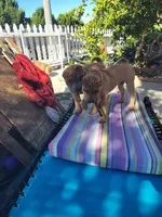 processed/37b89828-7031-43c5-ac3e-79f7b4b52de7/listing/6194581f-081e-479b-bf63-d1ba4f19d891/1dbce99f-b792-47c8-980b-0d6296342515