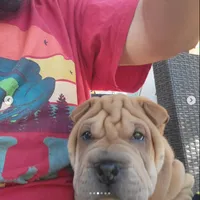 processed/37b89828-7031-43c5-ac3e-79f7b4b52de7/listing/6194581f-081e-479b-bf63-d1ba4f19d891/68b83610-1a73-443a-8e34-f71c216517ea