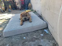 processed/37b89828-7031-43c5-ac3e-79f7b4b52de7/listing/6194581f-081e-479b-bf63-d1ba4f19d891/7eb97f2e-5e54-4e24-a8a6-ac3a33fe0c1a