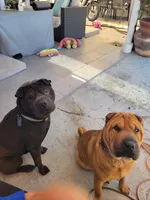 processed/37b89828-7031-43c5-ac3e-79f7b4b52de7/listing/6194581f-081e-479b-bf63-d1ba4f19d891/9b973b22-d105-4587-84d3-437aeb84d4a1