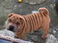 processed/37b89828-7031-43c5-ac3e-79f7b4b52de7/listing/6194581f-081e-479b-bf63-d1ba4f19d891/d664859c-d6e8-4c3b-87ee-f3cab3ab626d