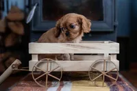 processed/37b8f70a-0275-40b7-ac00-0cd8591bf256/listing/95cc4627-4f2c-4248-b634-f0559e67e9c9/318fed72-d350-4e91-b5c0-f98c6aa6dac1