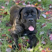 processed/37bbcd48-3eb7-4eff-86a7-32ddaecb28d1/facility/4f48f063-7c35-40ec-a080-eb35860966d3