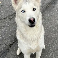 processed/37bbcd48-3eb7-4eff-86a7-32ddaecb28d1/facility/6a4e4f22-9197-470f-96b9-80aa69932db1