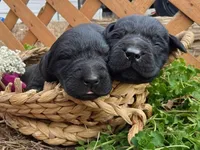 processed/37bd7963-e2e0-40e9-a955-59163efb5a00/facility/15b94a5e-cee8-432e-85c7-3bfcf65d1ed0