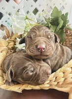 processed/37bd7963-e2e0-40e9-a955-59163efb5a00/facility/412e93b4-66c0-4781-a0a5-a6d64b333b77