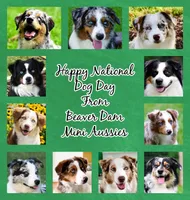 processed/37be6f88-cbde-4ed9-b293-4dc34d80a557/facility/3ae12f9e-9204-43e7-b124-15abbc80af50