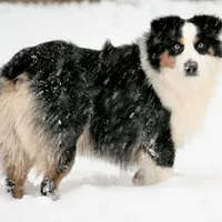 processed/37be6f88-cbde-4ed9-b293-4dc34d80a557/facility/5a8ca5fe-1a4f-42f0-9b72-30081971cfa9