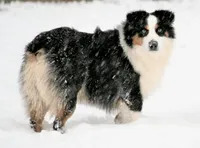 processed/37be6f88-cbde-4ed9-b293-4dc34d80a557/facility/5a8ca5fe-1a4f-42f0-9b72-30081971cfa9