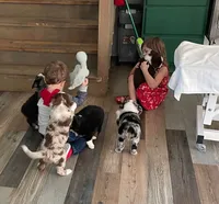 processed/37be6f88-cbde-4ed9-b293-4dc34d80a557/facility/64b3d69a-fb4e-4751-8d54-bfc5144f3903