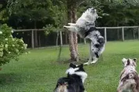 processed/37be6f88-cbde-4ed9-b293-4dc34d80a557/facility/80336b58-b3c2-4436-9a76-6fa4b42cbd28