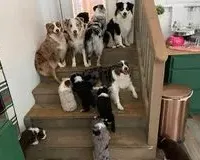 processed/37be6f88-cbde-4ed9-b293-4dc34d80a557/facility/8b265ddf-e4bd-427e-b02f-3ebd1be8ce47