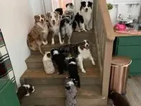 processed/37be6f88-cbde-4ed9-b293-4dc34d80a557/facility/8b265ddf-e4bd-427e-b02f-3ebd1be8ce47