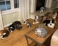 processed/37be6f88-cbde-4ed9-b293-4dc34d80a557/facility/93a64fa4-7f07-445e-a619-356278c69828