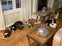 processed/37be6f88-cbde-4ed9-b293-4dc34d80a557/facility/93a64fa4-7f07-445e-a619-356278c69828