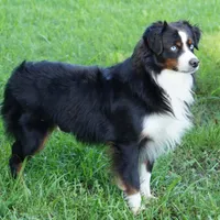 processed/37be6f88-cbde-4ed9-b293-4dc34d80a557/facility/a87ccf21-dc04-422d-b4eb-41da81062d77