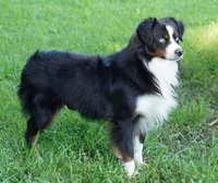 processed/37be6f88-cbde-4ed9-b293-4dc34d80a557/facility/a87ccf21-dc04-422d-b4eb-41da81062d77