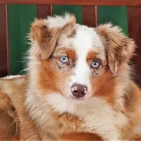 processed/37be6f88-cbde-4ed9-b293-4dc34d80a557/facility/bc03bd2f-7339-4b7c-a66c-0d345a812566