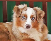 processed/37be6f88-cbde-4ed9-b293-4dc34d80a557/facility/bc03bd2f-7339-4b7c-a66c-0d345a812566