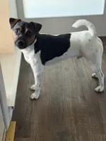 processed/37bf75a7-f307-46df-a4f8-1d1824a4c8f6/listing/d830a707-24d3-4bd4-8c1b-ec2b0a5895cf/10c3c402-11ae-4a8d-8918-fb1388af2d31