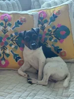 processed/37bf75a7-f307-46df-a4f8-1d1824a4c8f6/listing/d830a707-24d3-4bd4-8c1b-ec2b0a5895cf/18ac7001-5941-42b7-8707-812fa73f4ef6