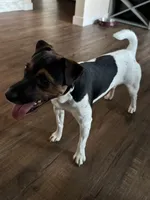 processed/37bf75a7-f307-46df-a4f8-1d1824a4c8f6/listing/d830a707-24d3-4bd4-8c1b-ec2b0a5895cf/b624a0c3-3ea1-42f2-8949-f02287c33dce