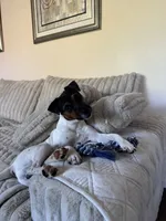 processed/37bf75a7-f307-46df-a4f8-1d1824a4c8f6/listing/d830a707-24d3-4bd4-8c1b-ec2b0a5895cf/cc6e024b-c8f4-4dde-9917-b4530abc29cd