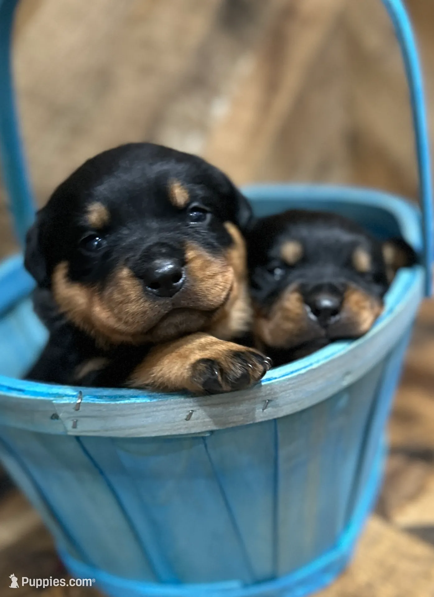 processed/37bf8965-fe9e-47cb-b3ba-d959e441b200/listing/d281c278-fbcd-45b9-a35c-6b730accc6c2/091ef991-354f-4a1a-9d1d-b933be7745b8