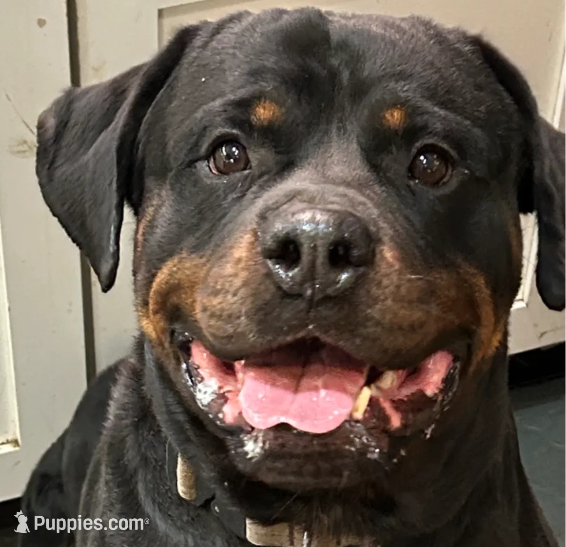 processed/37bf8965-fe9e-47cb-b3ba-d959e441b200/listing/d281c278-fbcd-45b9-a35c-6b730accc6c2/809df0b2-8030-424c-90f9-edde9c988d85