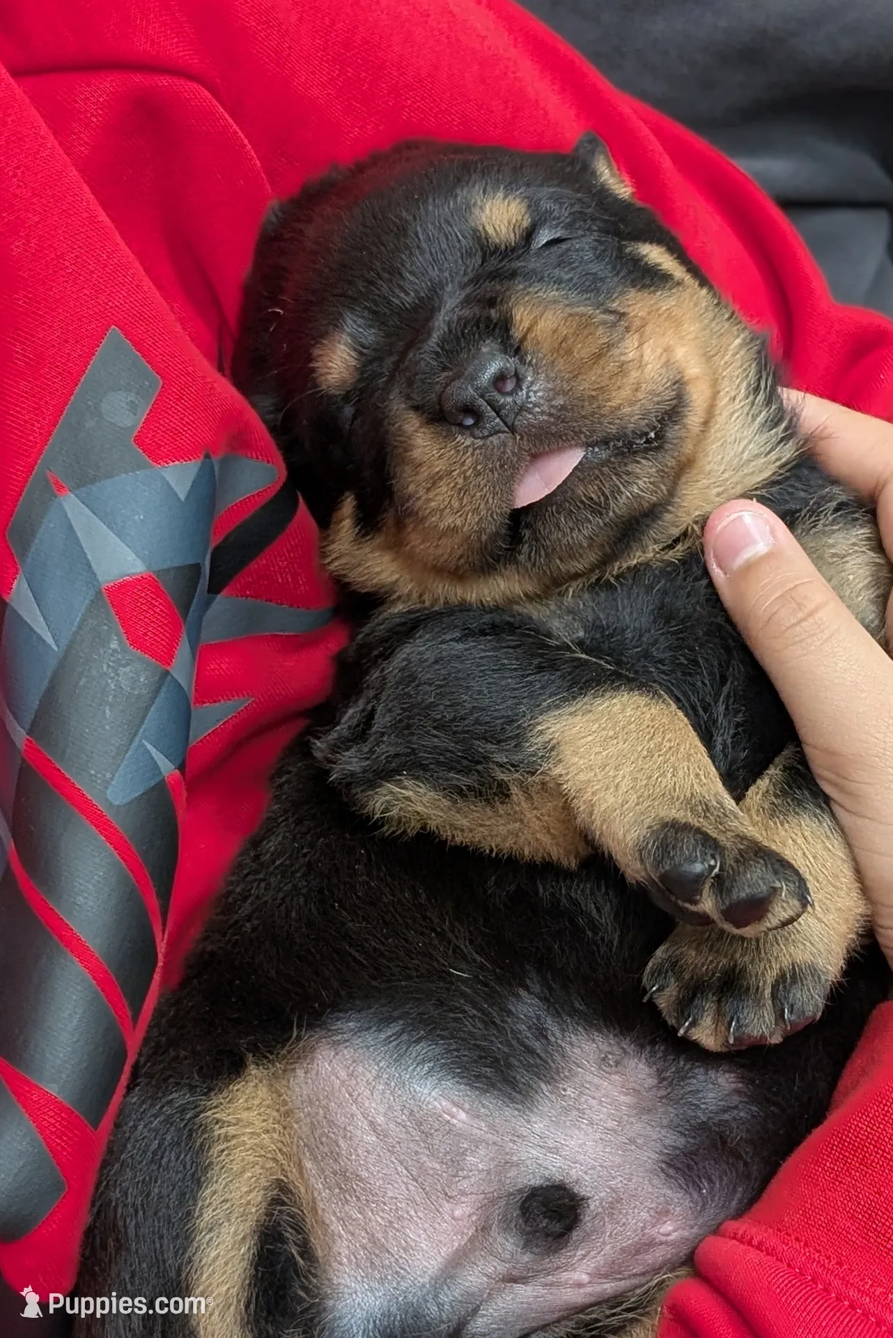 processed/37bf8965-fe9e-47cb-b3ba-d959e441b200/listing/d281c278-fbcd-45b9-a35c-6b730accc6c2/d3fa875a-683d-49c1-adc5-4e5a9bb31c5b