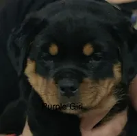 processed/37bf8965-fe9e-47cb-b3ba-d959e441b200/listing/d281c278-fbcd-45b9-a35c-6b730accc6c2/f153ecbb-b794-4dc6-970d-40104d3e8c6d