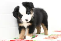 processed/37d86ddd-8d79-4cea-bc52-cc7698cf8b3f/listing/1c5c2aa6-417e-4995-8953-2c4dca3532d0/188cf768-6723-403a-81f3-e9a9150afa1e