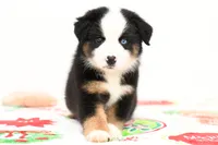 processed/37d86ddd-8d79-4cea-bc52-cc7698cf8b3f/listing/1c5c2aa6-417e-4995-8953-2c4dca3532d0/6dd73f4c-ed79-478a-a3bc-1a65a7f62c0c