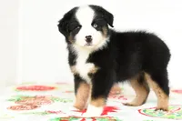 processed/37d86ddd-8d79-4cea-bc52-cc7698cf8b3f/listing/1c5c2aa6-417e-4995-8953-2c4dca3532d0/991364f4-e950-4b25-96e0-d62f2588d6c5