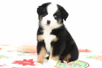 processed/37d86ddd-8d79-4cea-bc52-cc7698cf8b3f/listing/1c5c2aa6-417e-4995-8953-2c4dca3532d0/e106dcc9-5c47-4dd9-82aa-267026f7662d