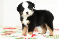 processed/37d86ddd-8d79-4cea-bc52-cc7698cf8b3f/listing/1c5c2aa6-417e-4995-8953-2c4dca3532d0/fba81940-dc79-4805-8028-7e690b4853b2