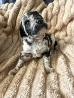 processed/37e63e56-f111-49c4-b66a-d207176ec36c/facility/7e88be1f-3b6a-4479-b39b-d868b3d6faf7