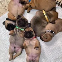 processed/37e6dbb9-d9c7-4278-a771-d19fa5f37b79/facility/0fd5d0c1-11b4-4fe1-bfff-a781804feff5