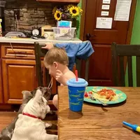 processed/37e6dbb9-d9c7-4278-a771-d19fa5f37b79/facility/6a11e9f3-9932-485e-8240-3f22ff5f4e2b