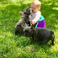 processed/37e6dbb9-d9c7-4278-a771-d19fa5f37b79/facility/7d996f62-ba0e-4a65-b01d-aa50a45128d7