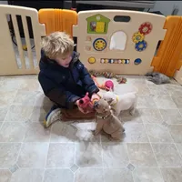 processed/37e6dbb9-d9c7-4278-a771-d19fa5f37b79/facility/8cecc268-8895-4f10-8542-4d491e5d05c3