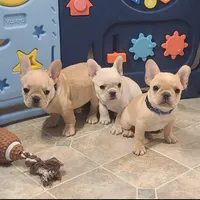 processed/37e6dbb9-d9c7-4278-a771-d19fa5f37b79/facility/99fee59a-d154-44c5-9663-aa822382b1bc