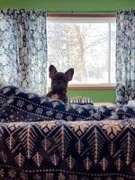 processed/37e6dbb9-d9c7-4278-a771-d19fa5f37b79/listing/4eb74bf1-c43f-4c34-beee-13bb9889acbf/2fcdc388-01b1-4b94-9400-7927e374aee2