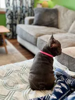 processed/37e6dbb9-d9c7-4278-a771-d19fa5f37b79/listing/4eb74bf1-c43f-4c34-beee-13bb9889acbf/58a10cb8-047f-45f3-9b21-8208948d52bb