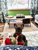 processed/37e6dbb9-d9c7-4278-a771-d19fa5f37b79/listing/4eb74bf1-c43f-4c34-beee-13bb9889acbf/5f3e2b92-a088-49c6-9090-bb8c0c2683cb