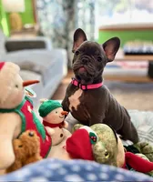 processed/37e6dbb9-d9c7-4278-a771-d19fa5f37b79/listing/4eb74bf1-c43f-4c34-beee-13bb9889acbf/c809f457-a0f8-4128-a766-00659892e83d