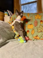 processed/37e6dbb9-d9c7-4278-a771-d19fa5f37b79/listing/c57aa82a-fd8d-42a0-aa10-9c857eb6ad4b/3e05a482-256f-4463-9872-84dfb101c687