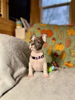 processed/37e6dbb9-d9c7-4278-a771-d19fa5f37b79/listing/c57aa82a-fd8d-42a0-aa10-9c857eb6ad4b/7a351255-7ada-4cdd-bd49-7e5a987f055f